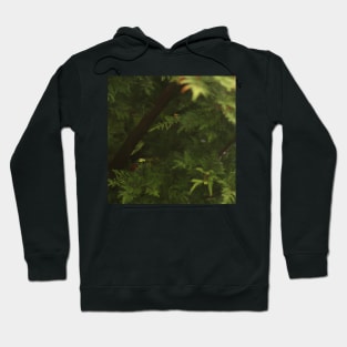 rain fantasy garden Hoodie